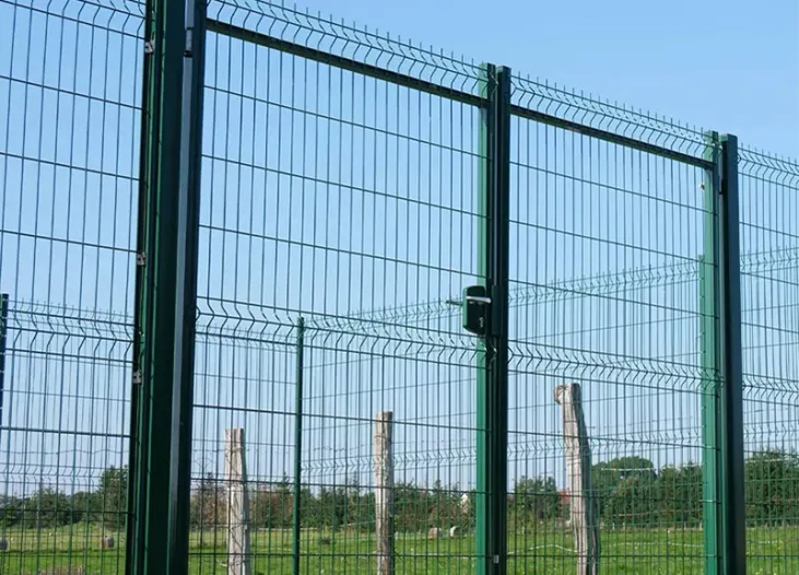 Double Swing Gate