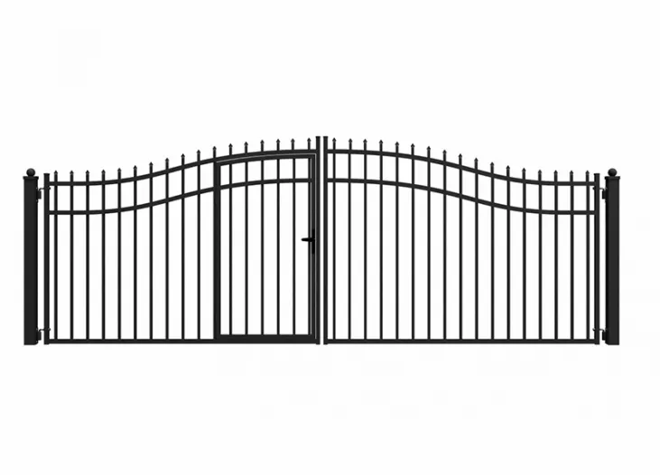 Double Swing Gate