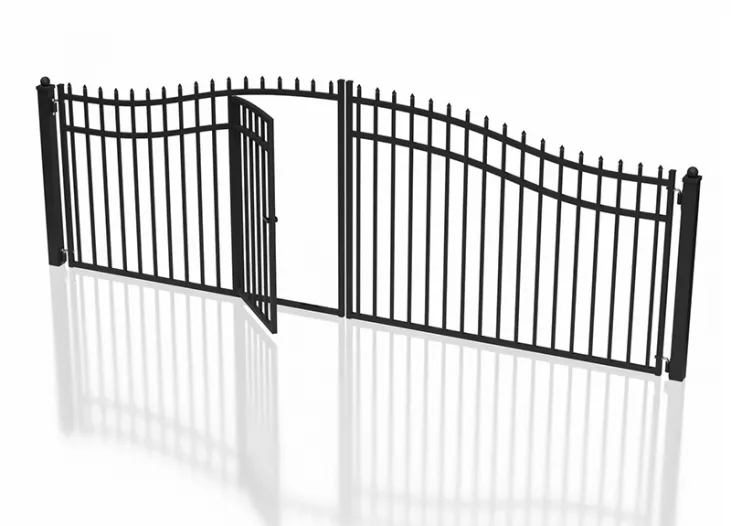 Double Swing Gate