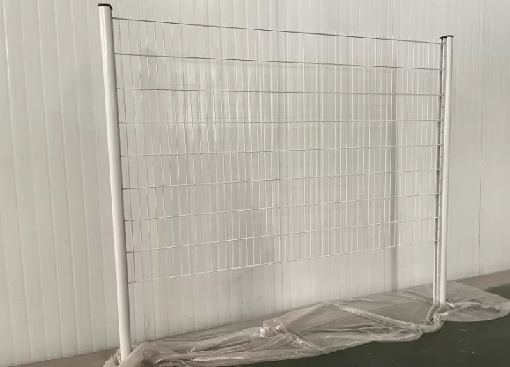 Double Wire Fence with Double Post