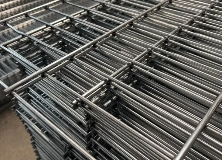 Double Wire Fence with Double Post