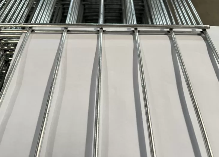 Double Wire Fence with Double Post