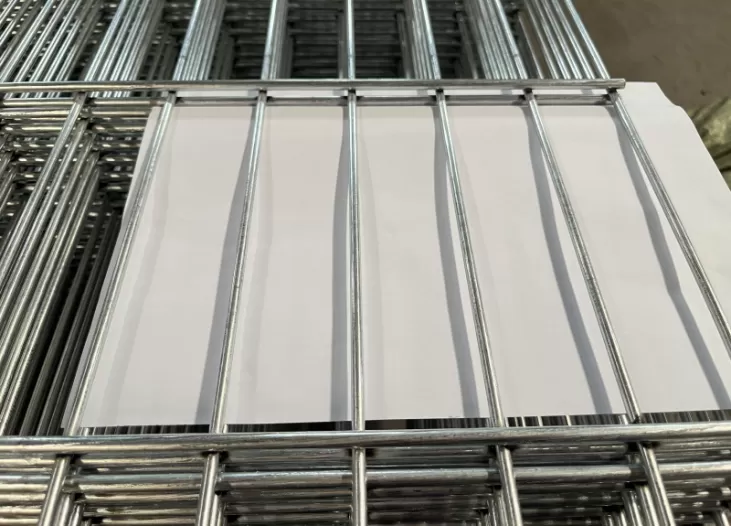 Double Wire Fence