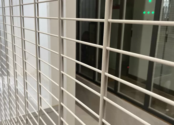 Double Wire Fence