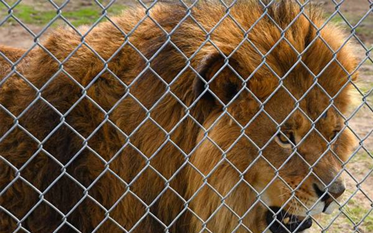 Animal enclosures and farm use