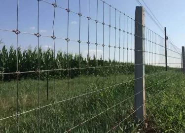 Field Fence