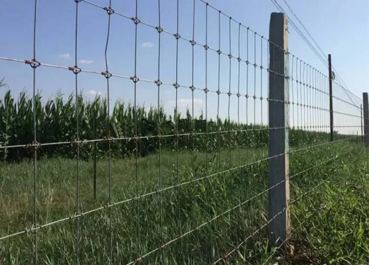 Field Fence