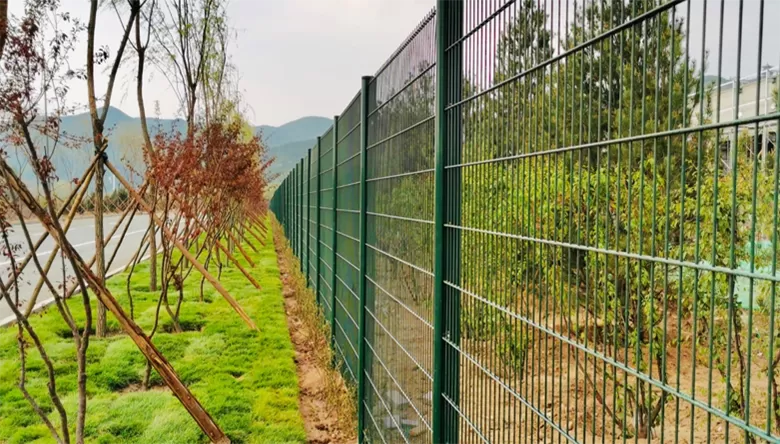 Residential Fence