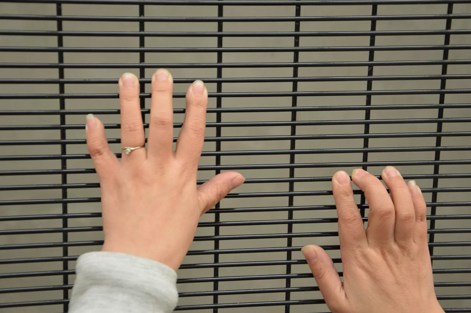 Characteristics of 358 fence